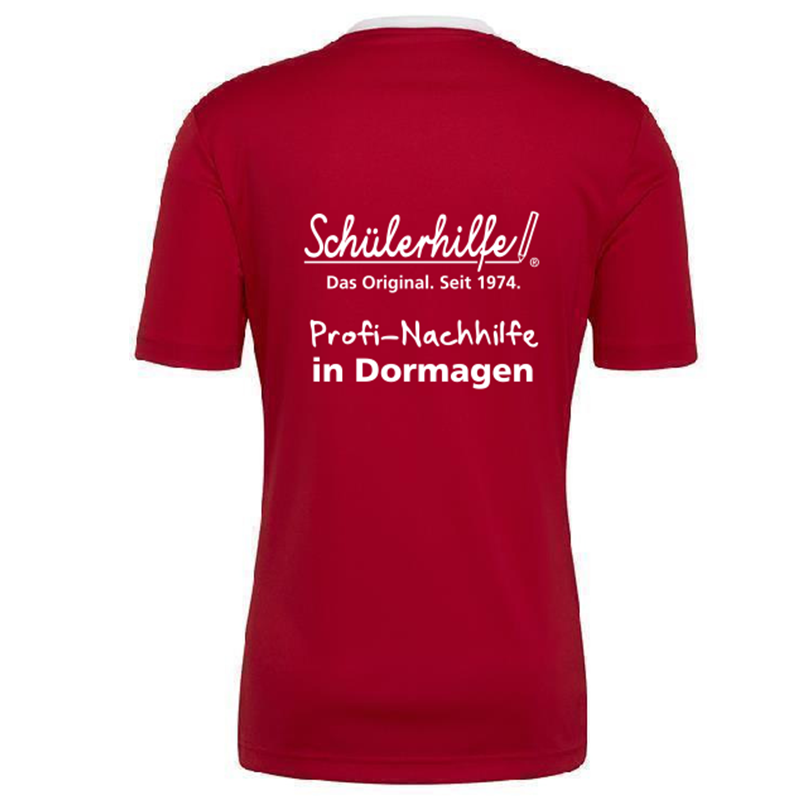 JSG Delhoven-Straberg x adidas Entrada 22 Trikot Herren - rot