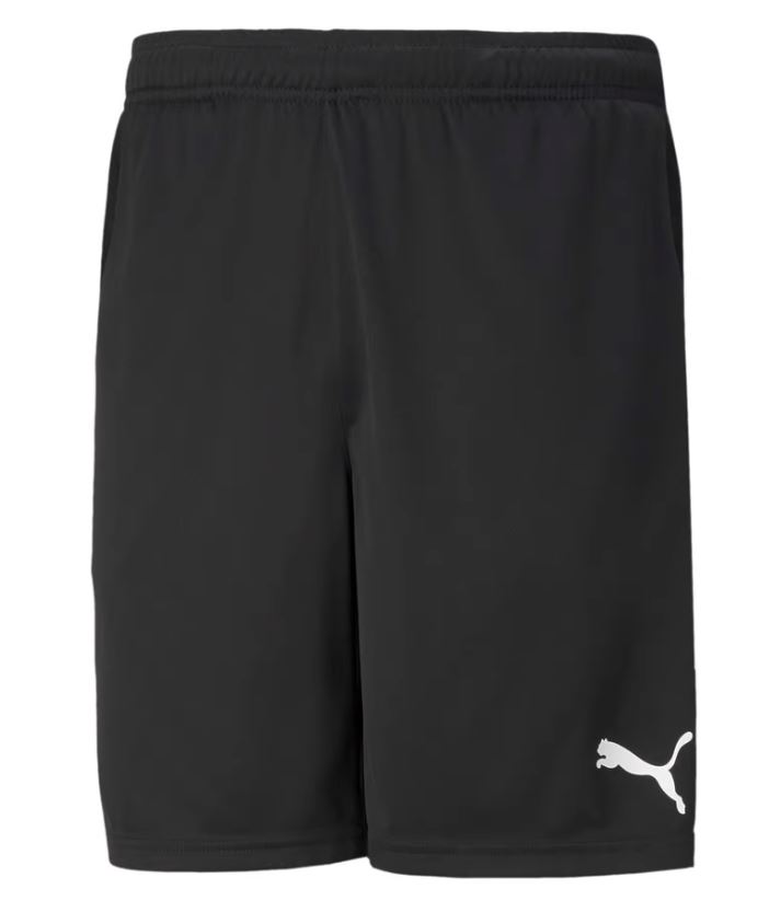 Puma teamRISE Trainingshorts Herren - schwarz