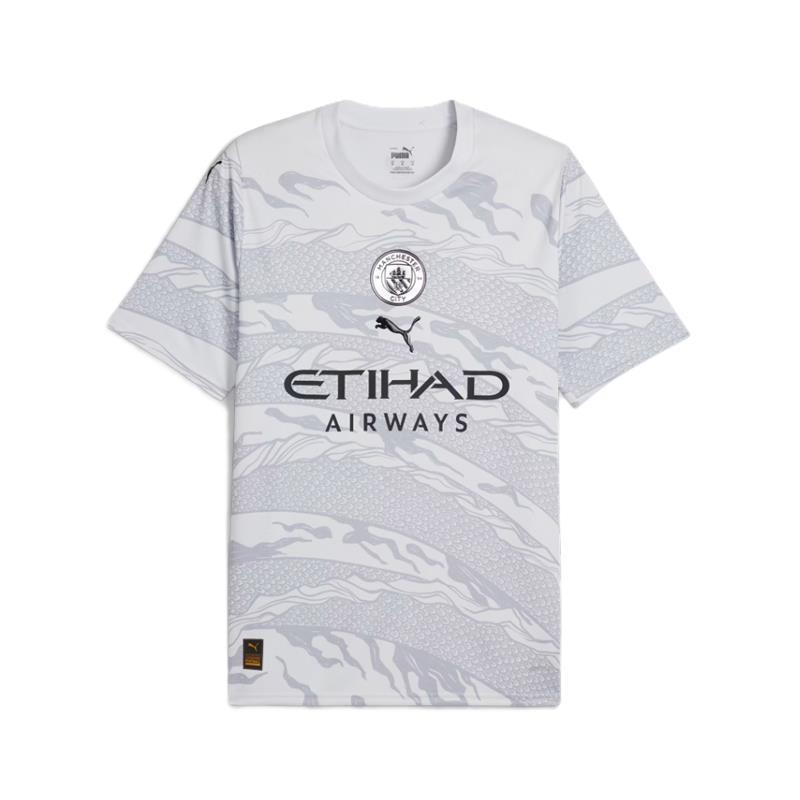 Puma Manchester City YOD Graphic Trikot Herren - grau