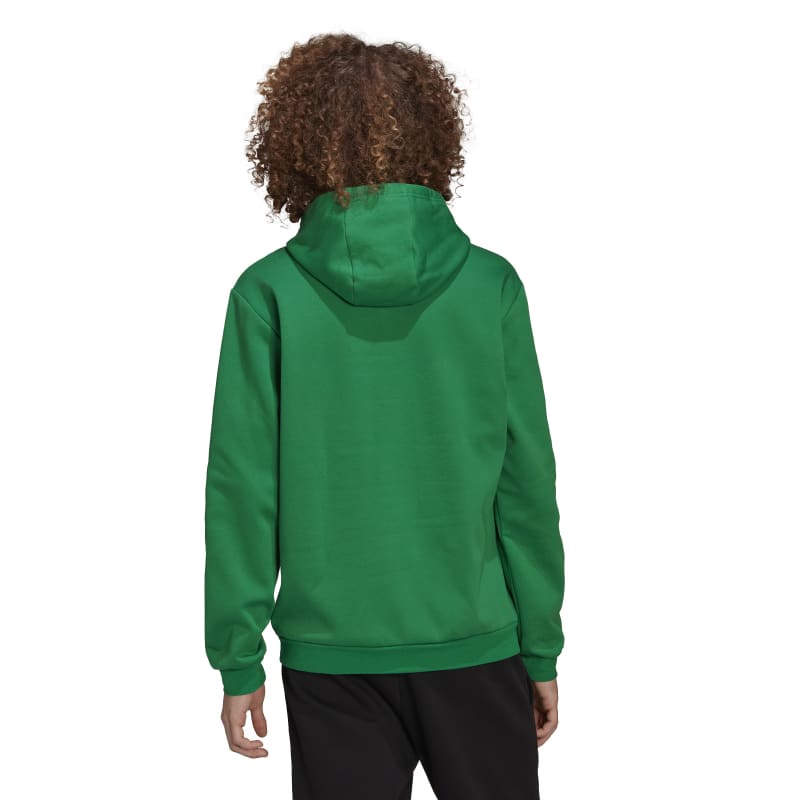 adidas Entrada 22 Hoodie Herren - grün