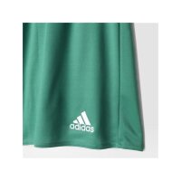 adidas Parma 16 Shorts Herren - gr&uuml;n