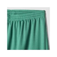 adidas Parma 16 Shorts Herren - gr&uuml;n