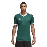 adidas Tabela 18 Trikot Herren - gr&uuml;n/wei&szlig;