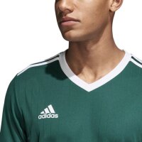 adidas Tabela 18 Trikot Herren - gr&uuml;n/wei&szlig;