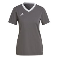 adidas Entrada 22 Trikot Damen - grau/weiß