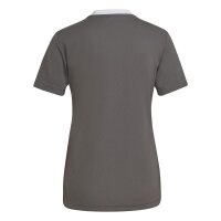 adidas Entrada 22 Trikot Damen - grau/wei&szlig;