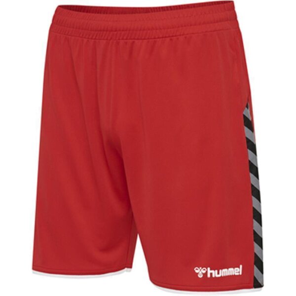 hummel Authentic Trainingsshorts Herren - rot