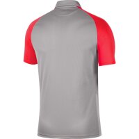 Nike Trophy IV Trikot Herren - grau/rot