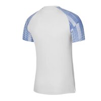 Nike Academy Trikot Herren- weiß/blau