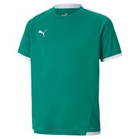 Puma teamLIGA Trikot Kinder - grün