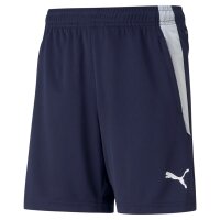 Puma teamLIGA Shorts Kinder - navy/weiß