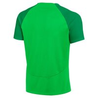 Nike Academy Pro T-Shirt Herren - grün