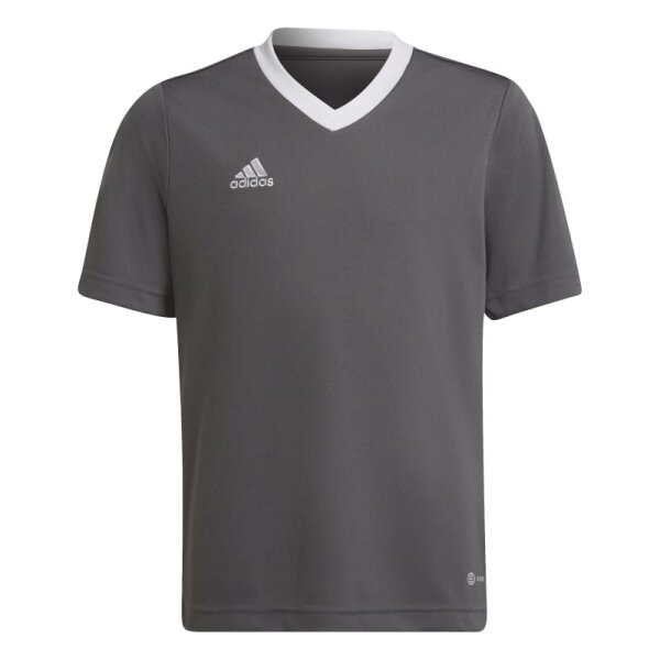 adidas Entrada 22 Trikot Kinder - grau/weiß