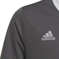 adidas Entrada 22 Trikot Kinder - grau/wei&szlig;