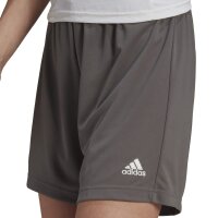 adidas Entrada 22 Shorts Damen - grau