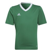 adidas Entrada 22 Trikot Kinder - gr&uuml;n