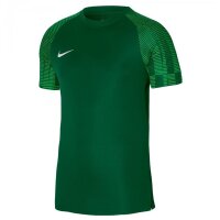 Nike Academy Trikot Herren - grün