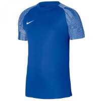 Nike Academy Trikot Herren - blau