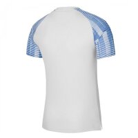 Nike Academy Trikot Kinder - wei&szlig;/blau