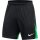 Nike Academy Pro Shorts Herren - schwarz/grün