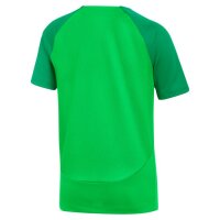 Nike Academy Pro T-Shirt Kinder - gr&uuml;n