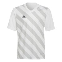 adidas Entrada 22 Trikot Kinder - wei&szlig;/grau