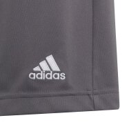 adidas Entrada 22 Shorts Kinder - grau