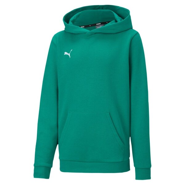 Puma teamGOAL 23 Casuals Hoodie Kinder - grün