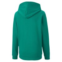 Puma teamGOAL 23 Casuals Hoodie Kinder - grün