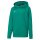 Puma teamGOAL 23 Casuals Hoodie Kinder - grün