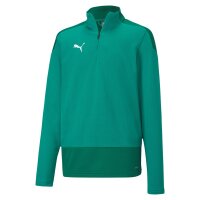 Puma teamGOAL 23 Half-Zip Trainingstop Kinder - gr&uuml;n