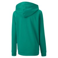 Puma teamGOAL 23 Casuals Full-Zip Hoodie Kinder - gr&uuml;n