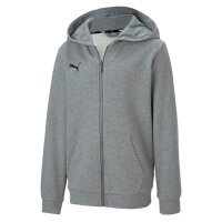 Puma teamGOAL 23 Full-Zip Hoodie Kinder - grau