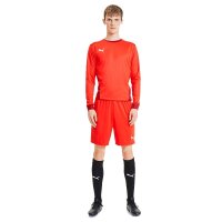 Puma teamGOAL 23 Knit Shorts Herren - rot