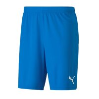 Puma teamGOAL 23 Knit Shorts Herren - blau