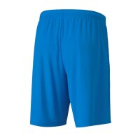 Puma teamGOAL 23 Knit Shorts Herren - blau