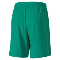 Puma teamGOAL 23 Knit Shorts Herren - gr&uuml;n