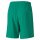 Puma teamGOAL 23 Knit Shorts Herren - grün