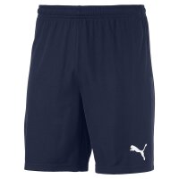 Puma teamGOAL 23 Knit Shorts Herren - navy