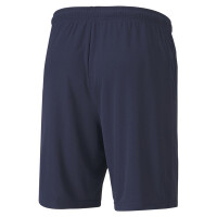 Puma teamGOAL 23 Knit Shorts Herren - navy