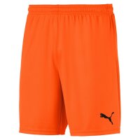 Puma teamGOAL 23 Knit Shorts Herren - orange