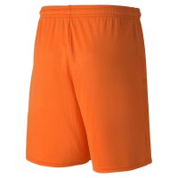 Puma teamGOAL 23 Knit Shorts Herren - orange