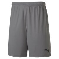 Puma teamGOAL 23 Knit Shorts Herren - grau