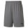 Puma teamGOAL 23 Knit Shorts Herren - grau