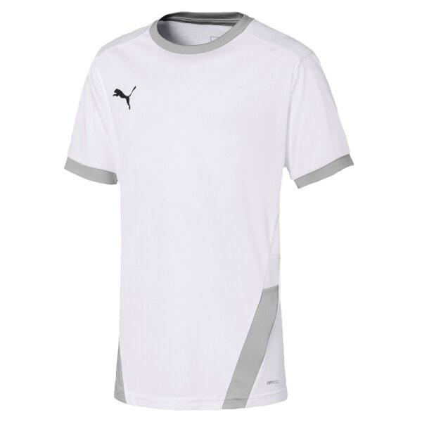 Puma teamGOAL 23 Trikot Kinder - weiß/grau