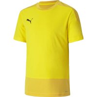 Puma teamGOAL 23 Trikot Kinder - gelb/schwarz