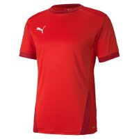 Puma teamGOAL 23 Trikot Herren - rot