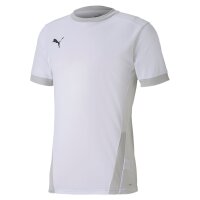 Puma teamGOAL 23 Trikot Herren - weiß