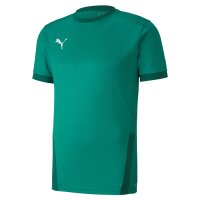 Puma teamGOAL 23 Trikot Herren - gr&uuml;n