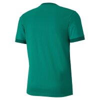 Puma teamGOAL 23 Trikot Herren - gr&uuml;n